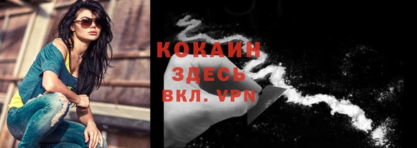 мяу мяу мука Армянск