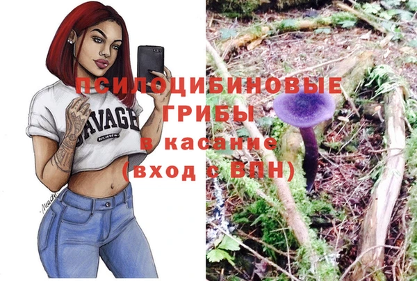 мяу мяу мука Армянск