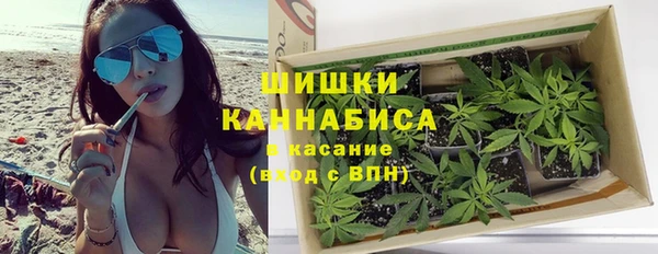 гидра Аркадак
