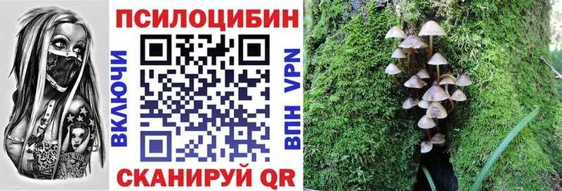 Псилоцибиновые грибы MAGIC MUSHROOMS где можно купить Усть-Илимск